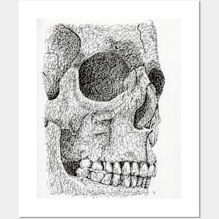 Skull Posters and Art